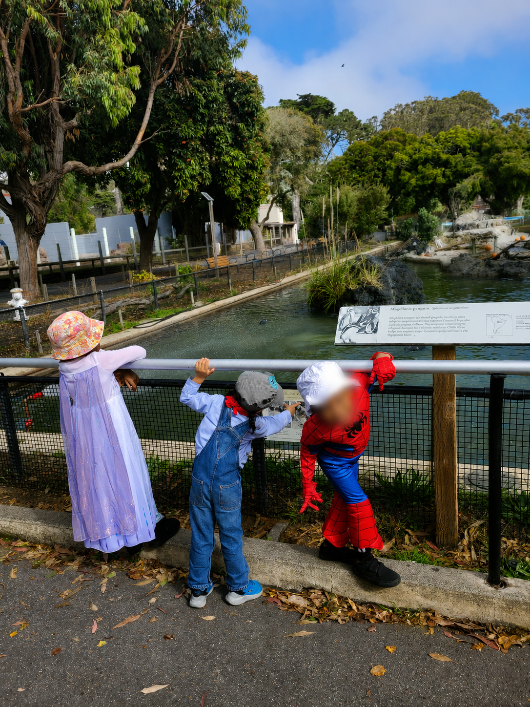Field Trips at Alfa Da Childcare