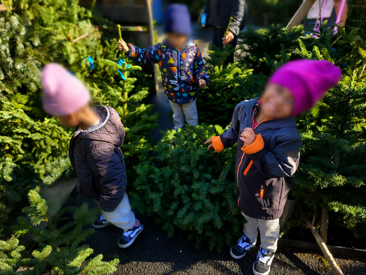 Field Trips at Alfa Da Childcare