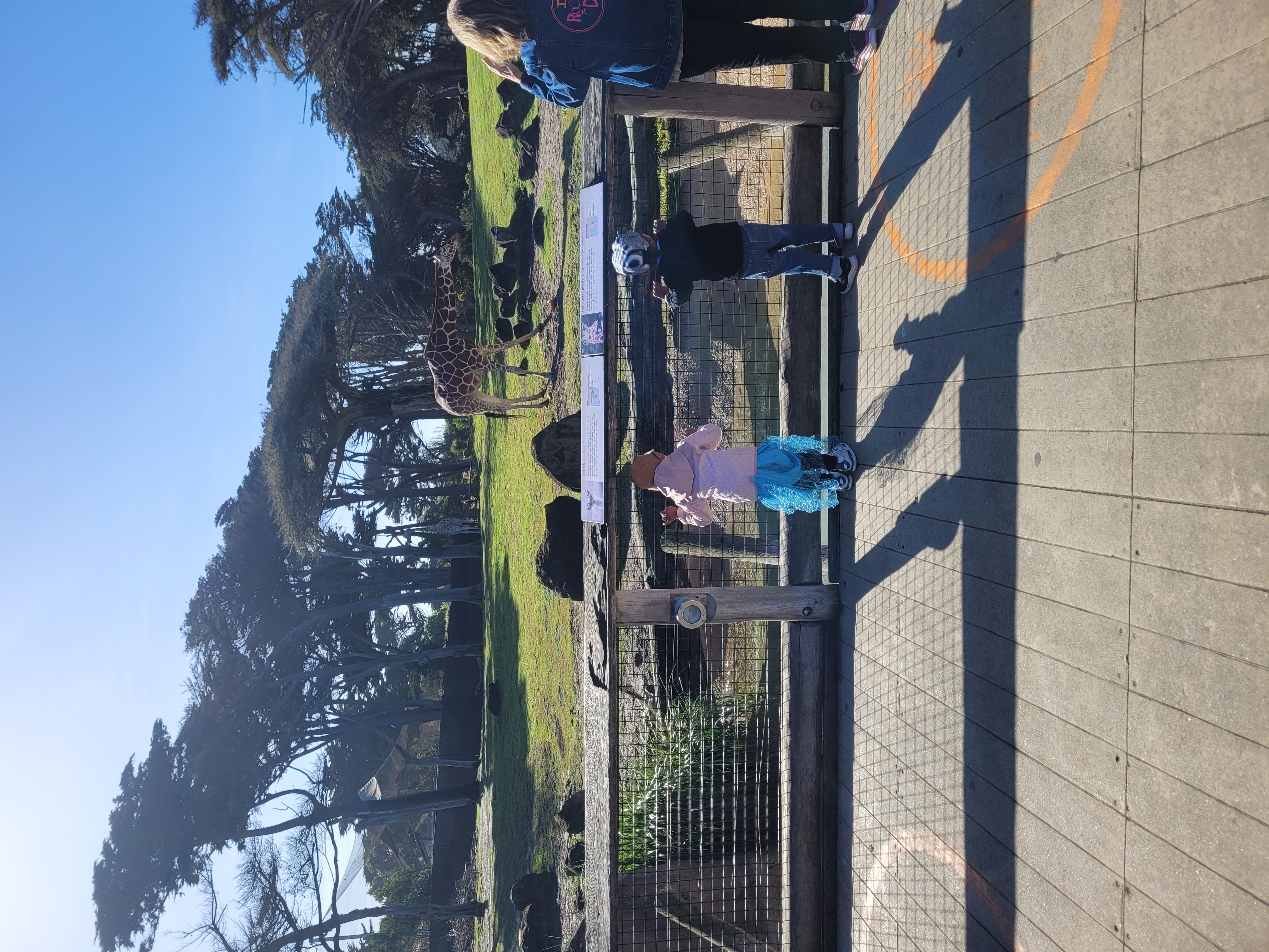 Field Trips at Alfa Da Childcare