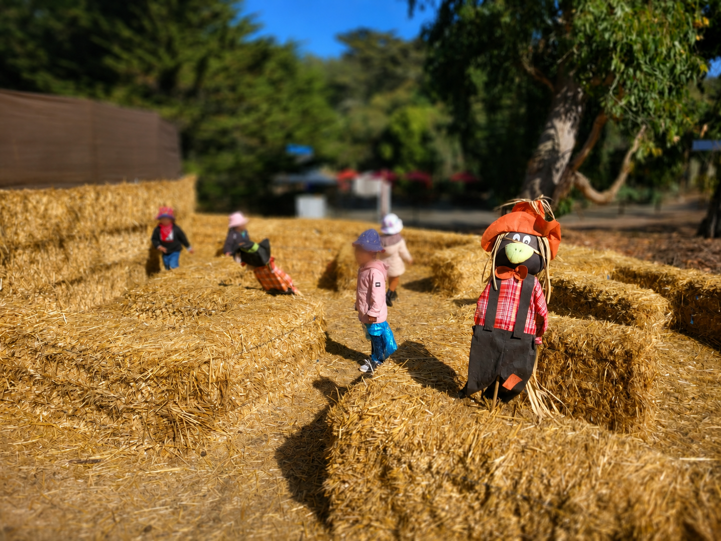 Field Trips at Alfa Da Childcare