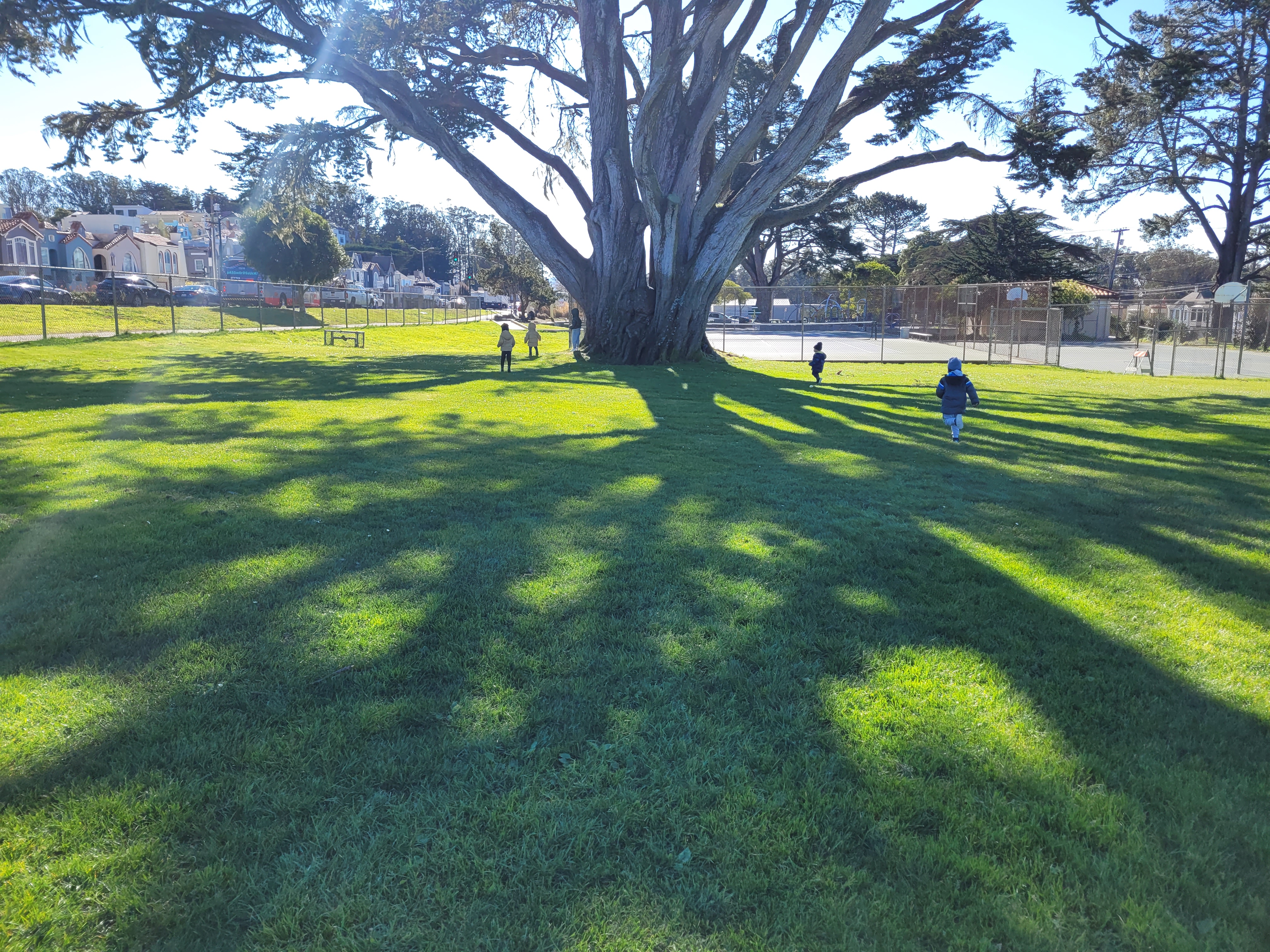 Movement and Motor Development at Alfa Da Childcare