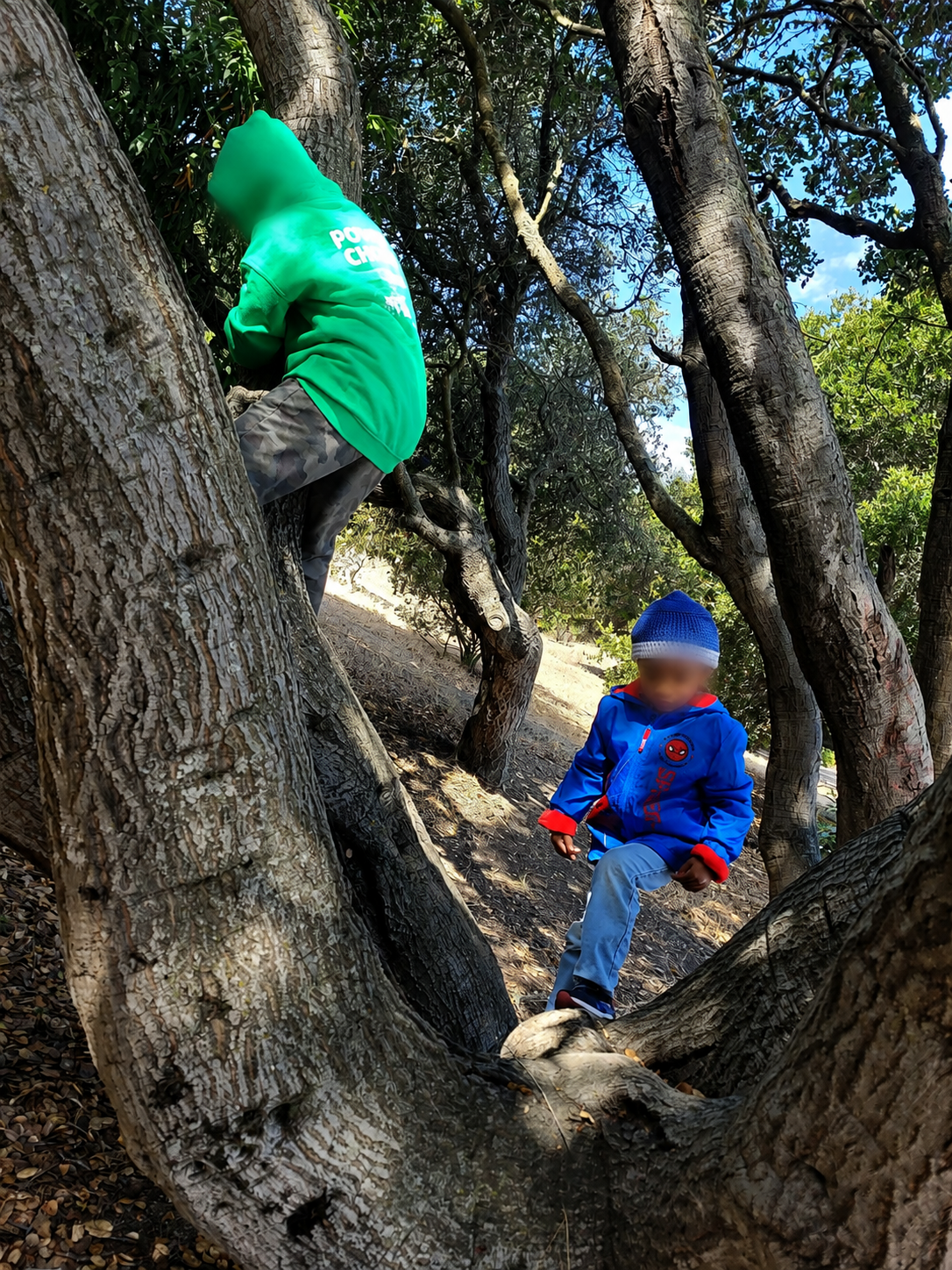 Movement and Motor Development at Alfa Da Childcare