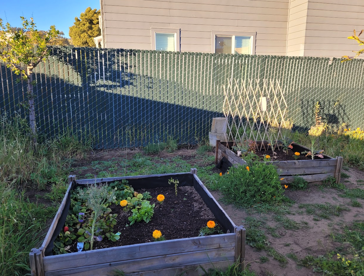 Nature and Gardening at Alfa Da Childcare